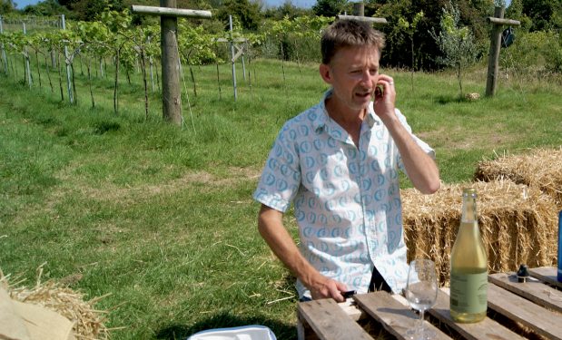 Robin on the straw bales