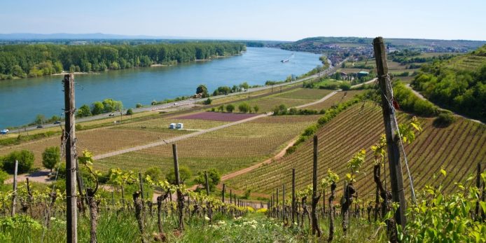 A New Era for German Wine