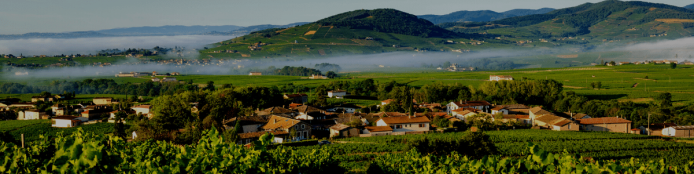 Getting the most out of Beaujolais